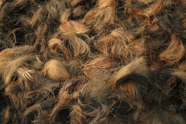 Toile de coco : l'élégance naturelle pour vos espaces extérieurs