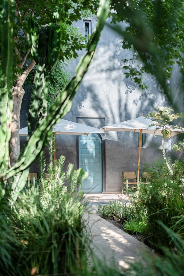 Découvrez comment la toile de coco sublime vos espaces extérieurs